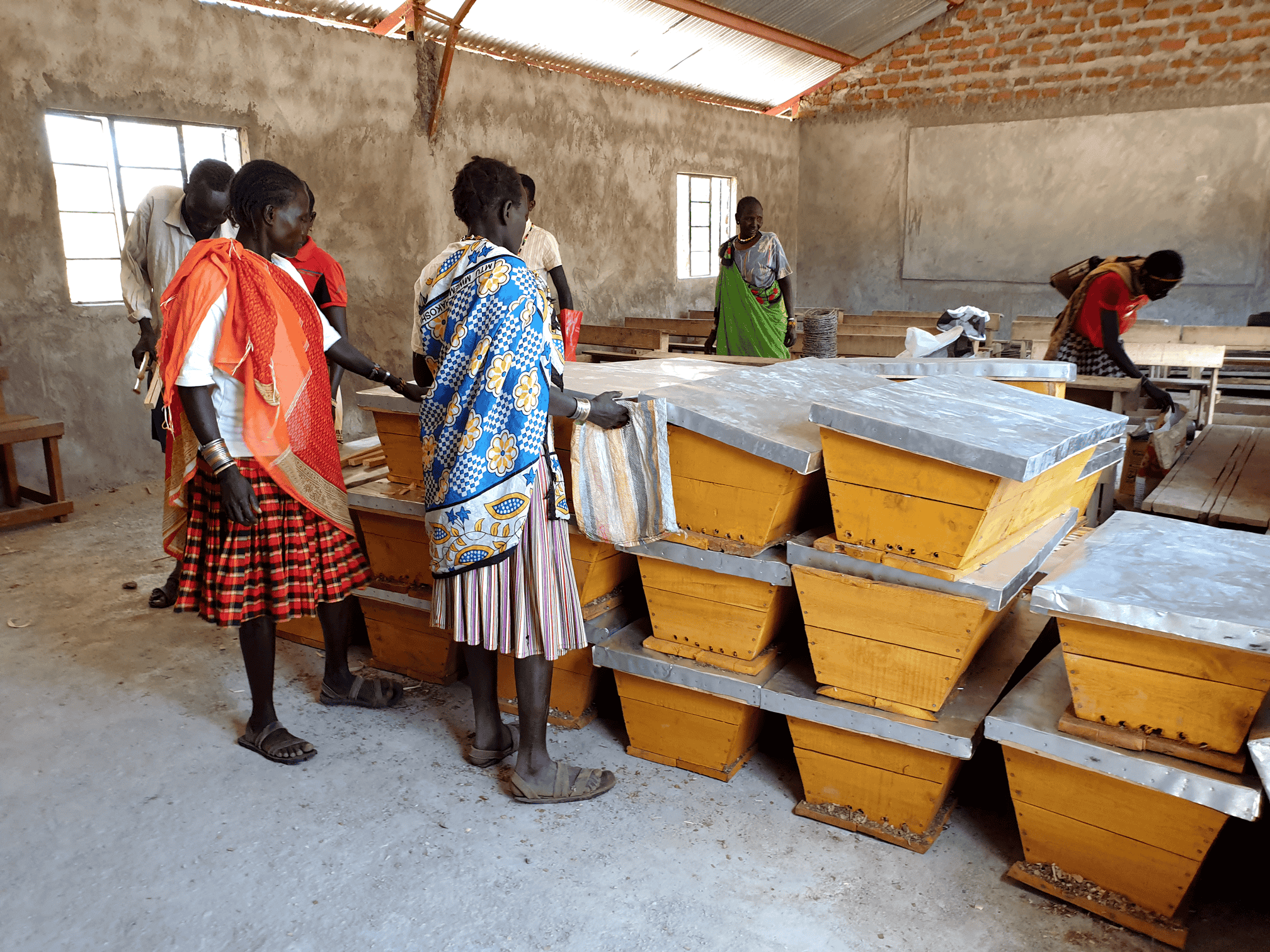 Women working with beehives in Pokot
