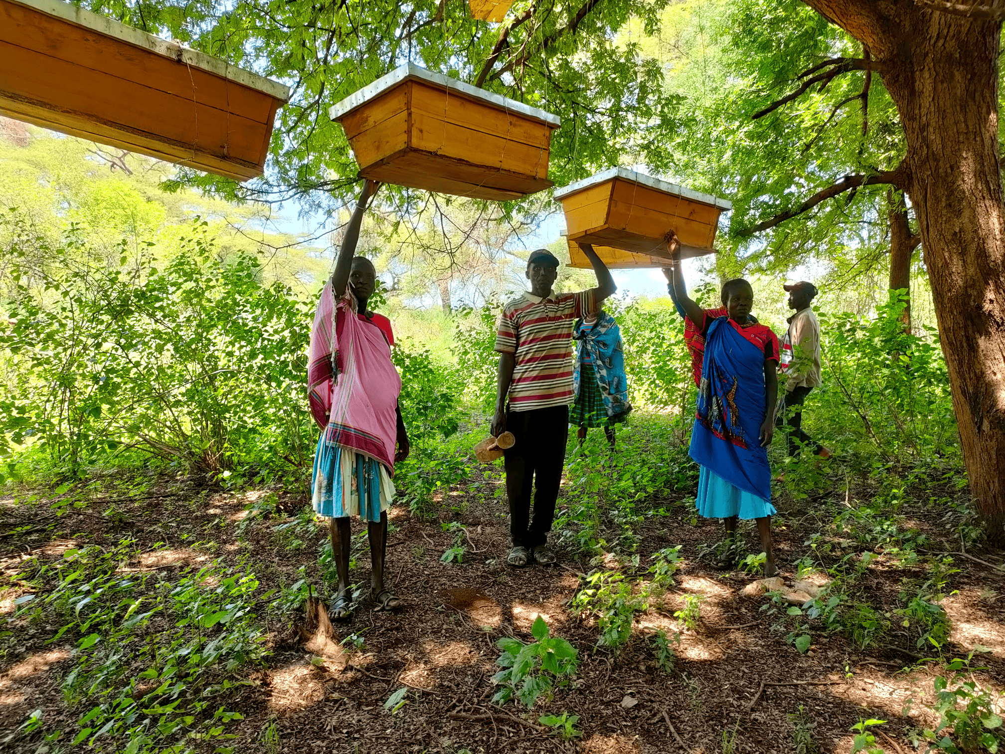 Community engagement in beekeeping